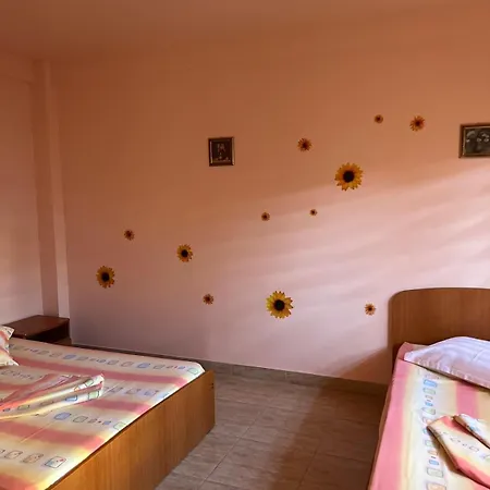 Guest house Cristalex *