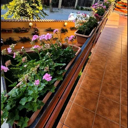 Guest house Cristalex